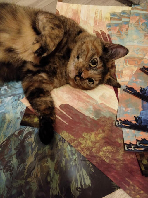 CAT! CAT! CAT!! ...oh and art prints CAT! CAT! CAT!! ...oh and art prints